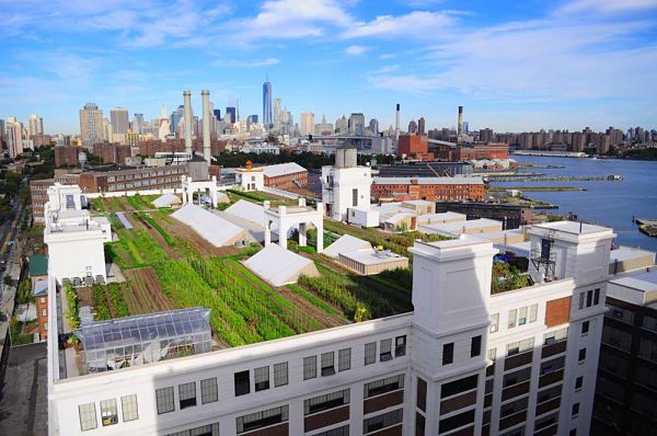 El huerto urbano más grande del mundo: Brooklyn Grange Farm